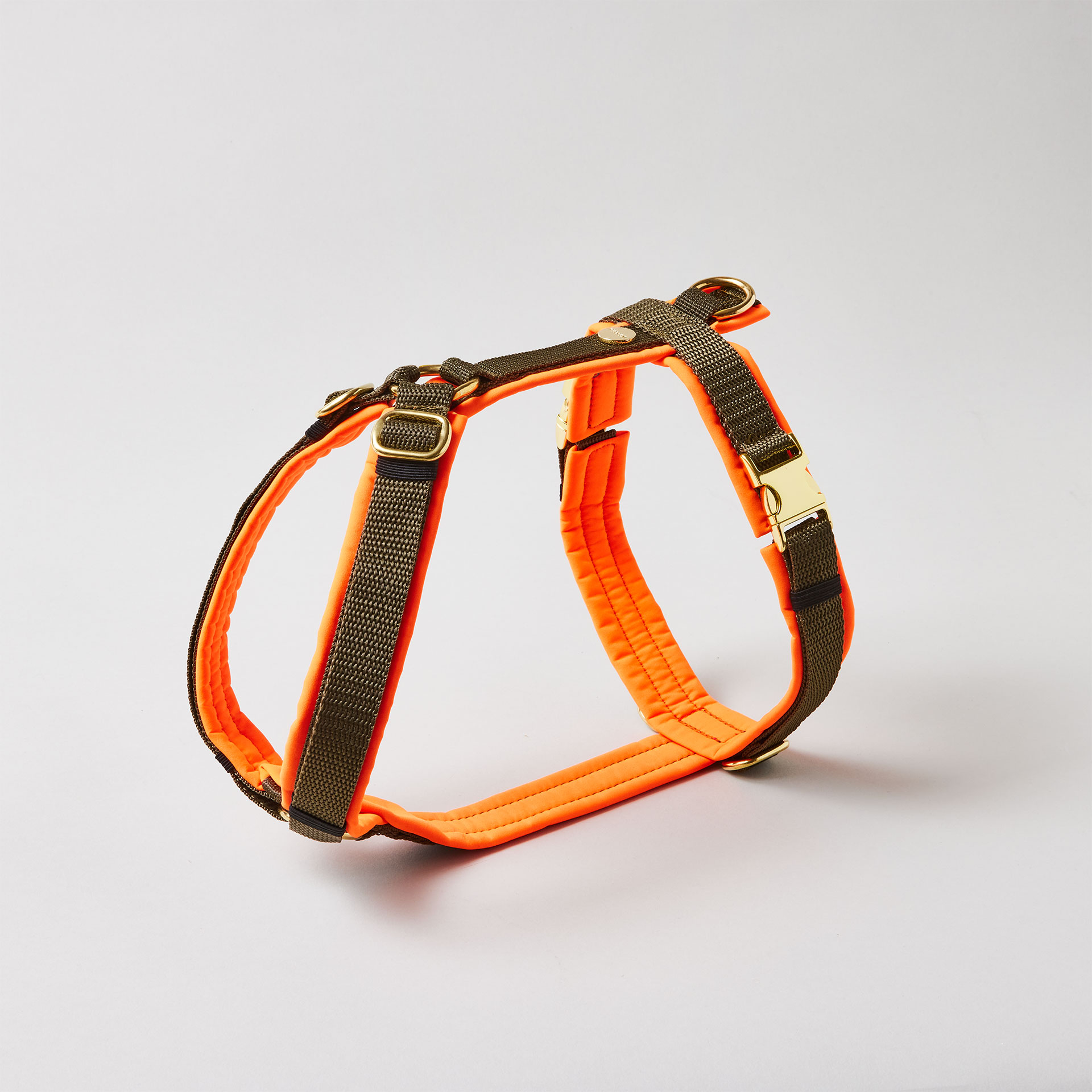 Verstellbares Hundegeschirr Softie Neonorange Oliv mit olivfarbenem Gurtband und vollunterlegter Polsterung aus neonorangem Softshell, goldfarbene Beschläge