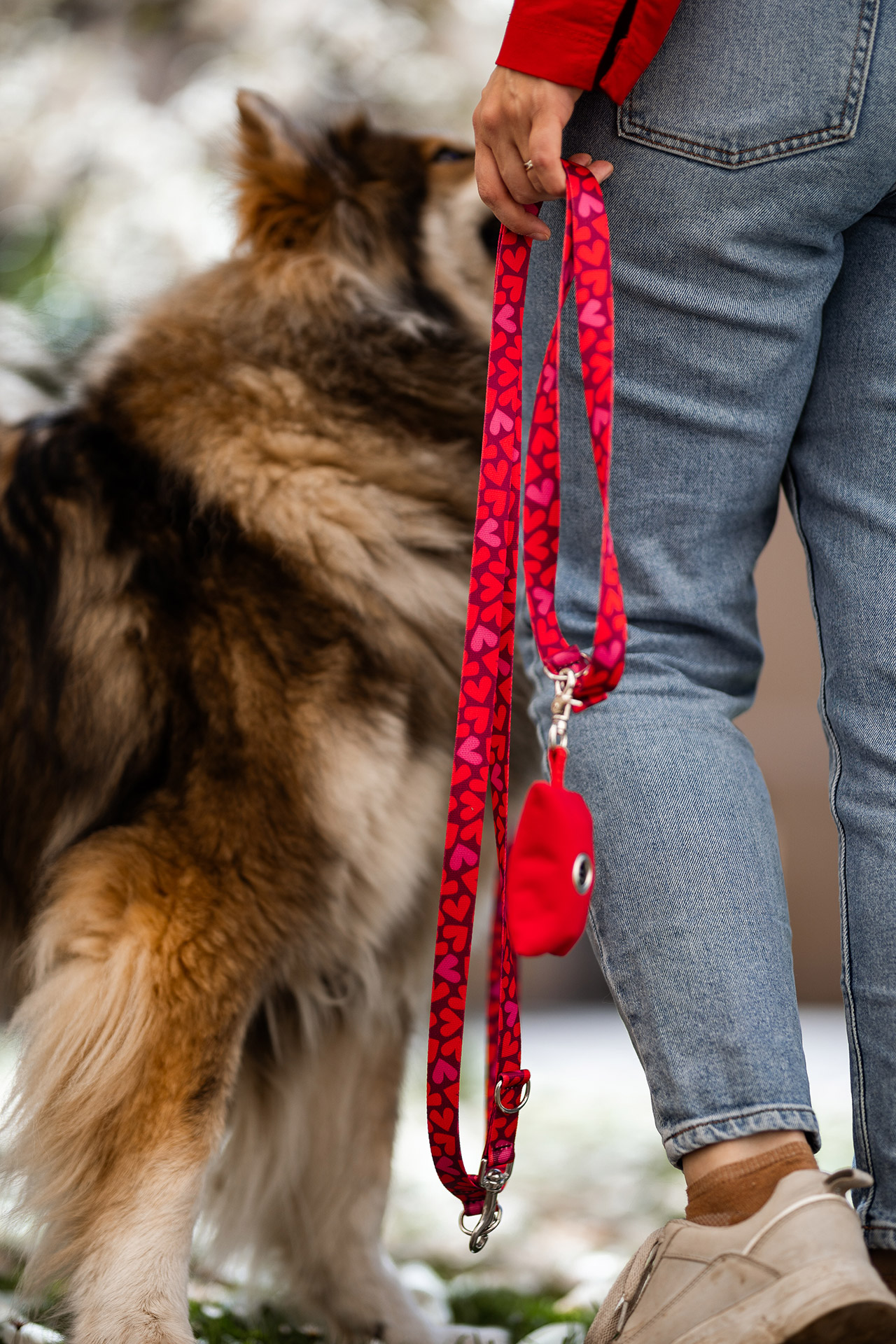 Designerleinen Herzklopfen an Eurasier