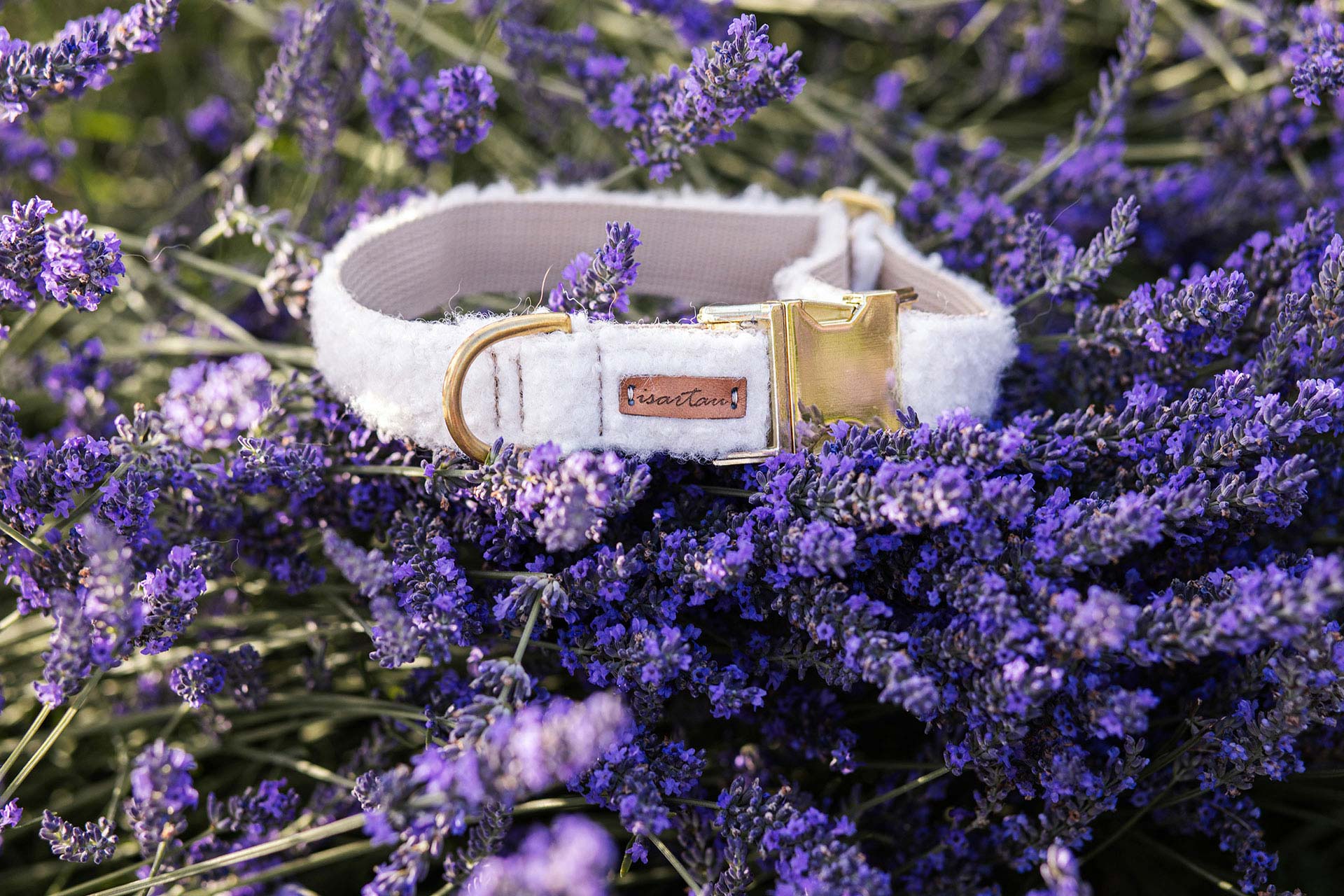 Halsband aus weißem Bouclestoff als Detailaufnahme im Lavendelfeld