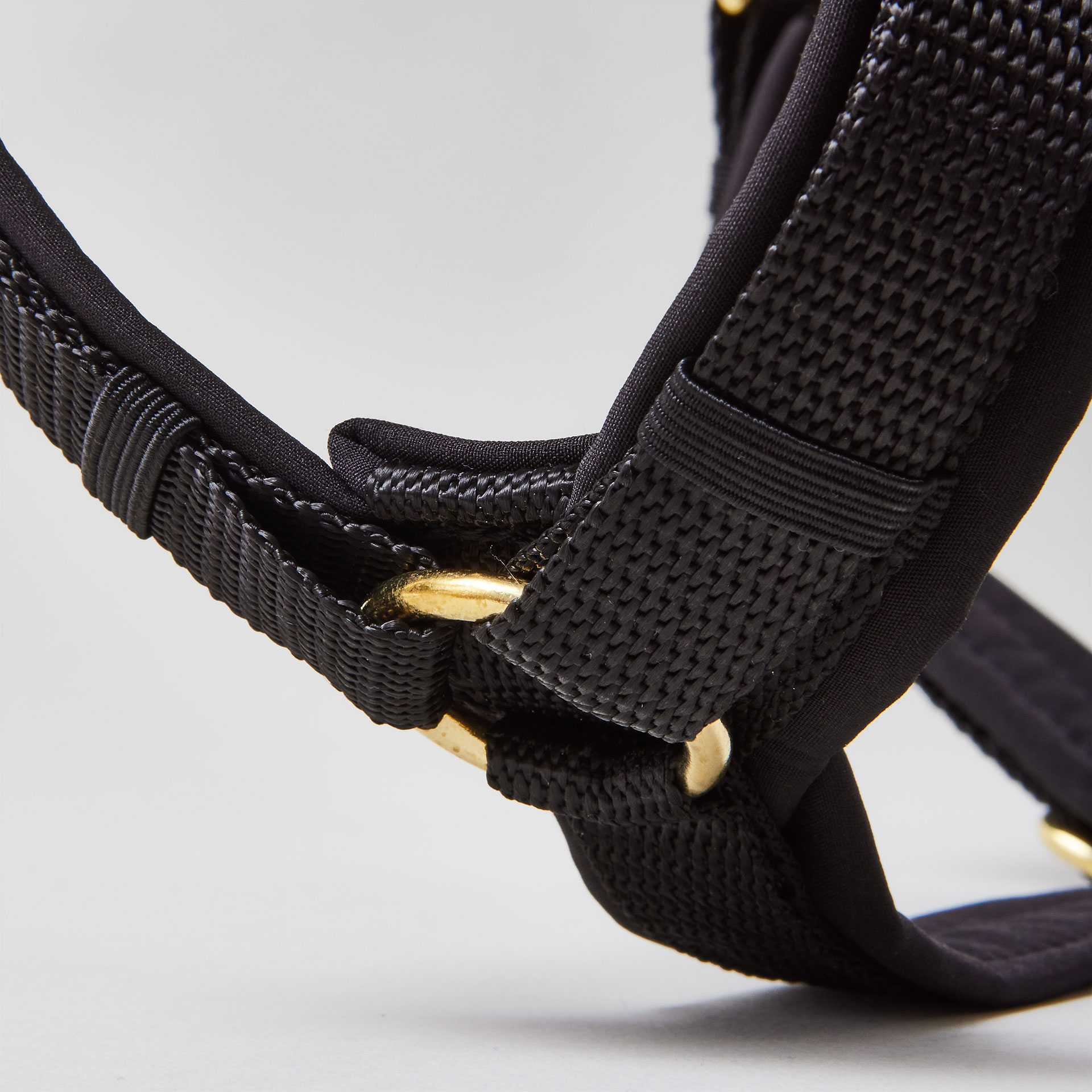 Y-förmiges Hundegeschirr in Schwarz mit Polsterung aus Softshell und goldfarbenen Beschlägen