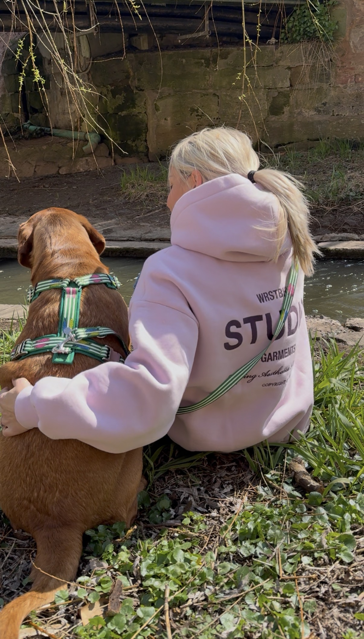 Labrador_mit_Frauchen_am_Flussufer_Hundegeschirr_SALTY
