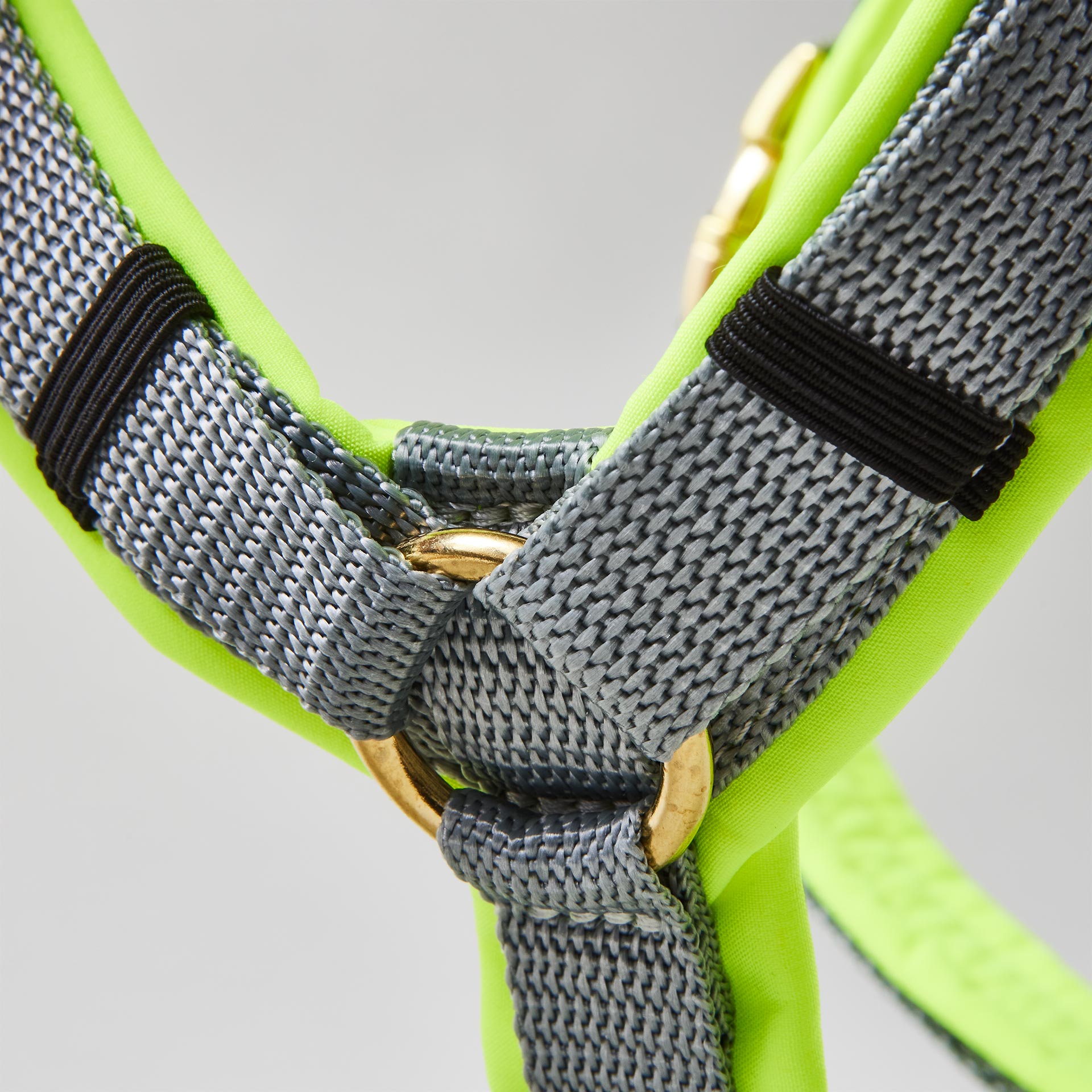 Y-förmiges Hundegeschirr Softie Neongelb Grau mit neongelber Polsterung aus Softshell, grauem Gurtband und goldfarbenen Beschlägen
