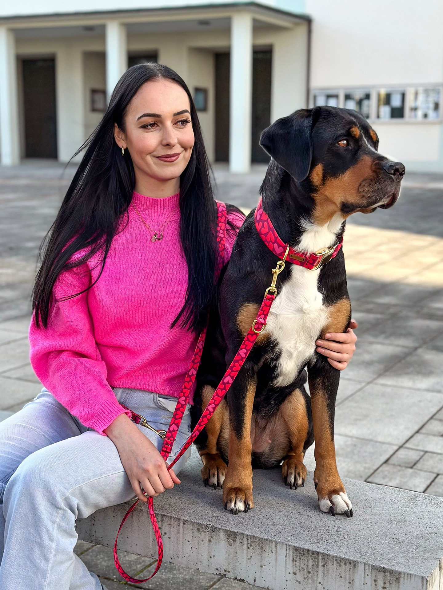 Großer Schweizer Sennenhund Rosi im Set Herzklopfen, Halsband und Leine mit rotem Herzmotiv