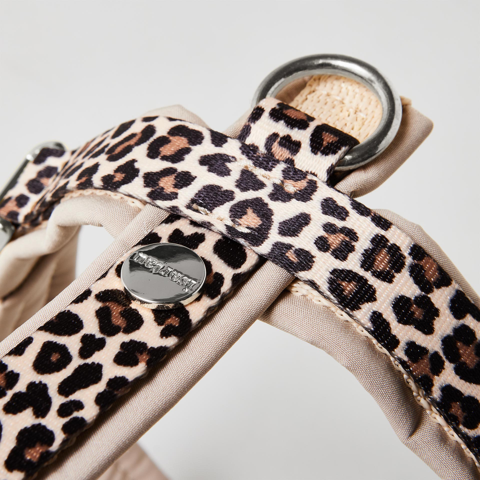 Detail gepolstertes Hundegeschirr Leo mit gepolstertem silbernem O-Ring zum Einhaken des Karabiners