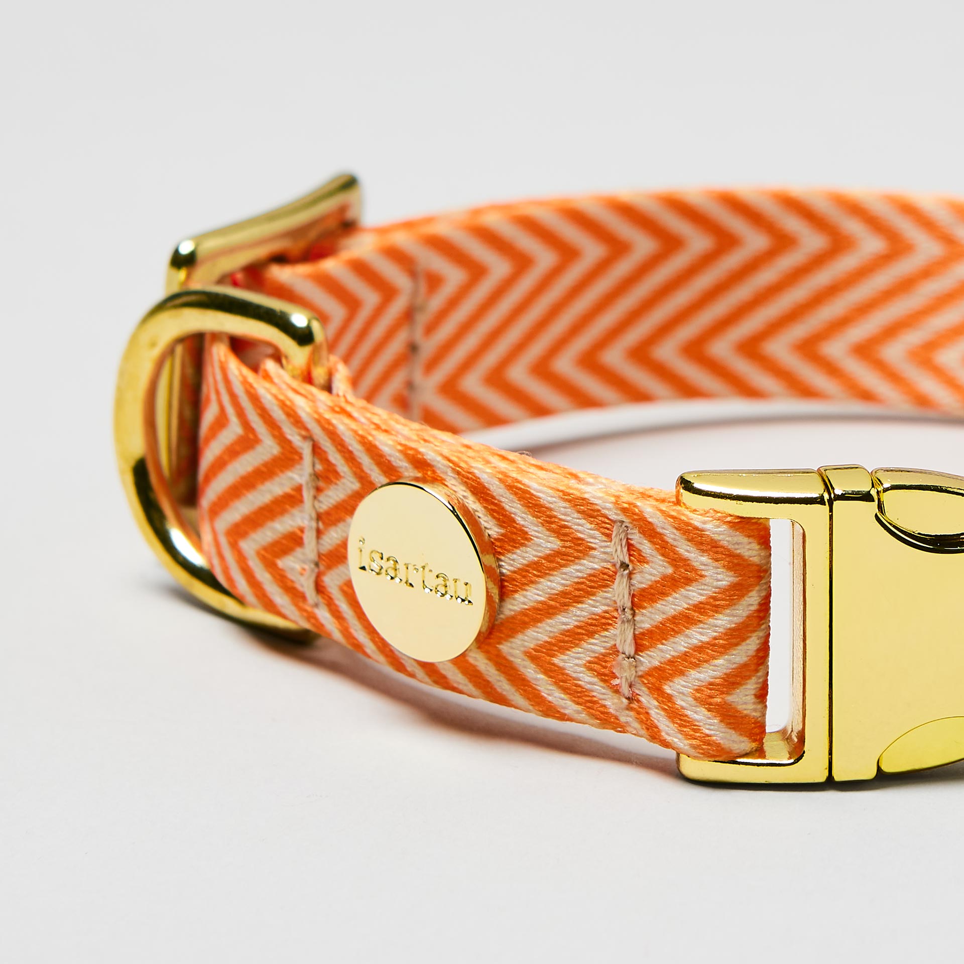 Detailaufnahme verstellbares Hundehalsband Tänzer goldfarben, Gurtband mit Fischgrät Muster