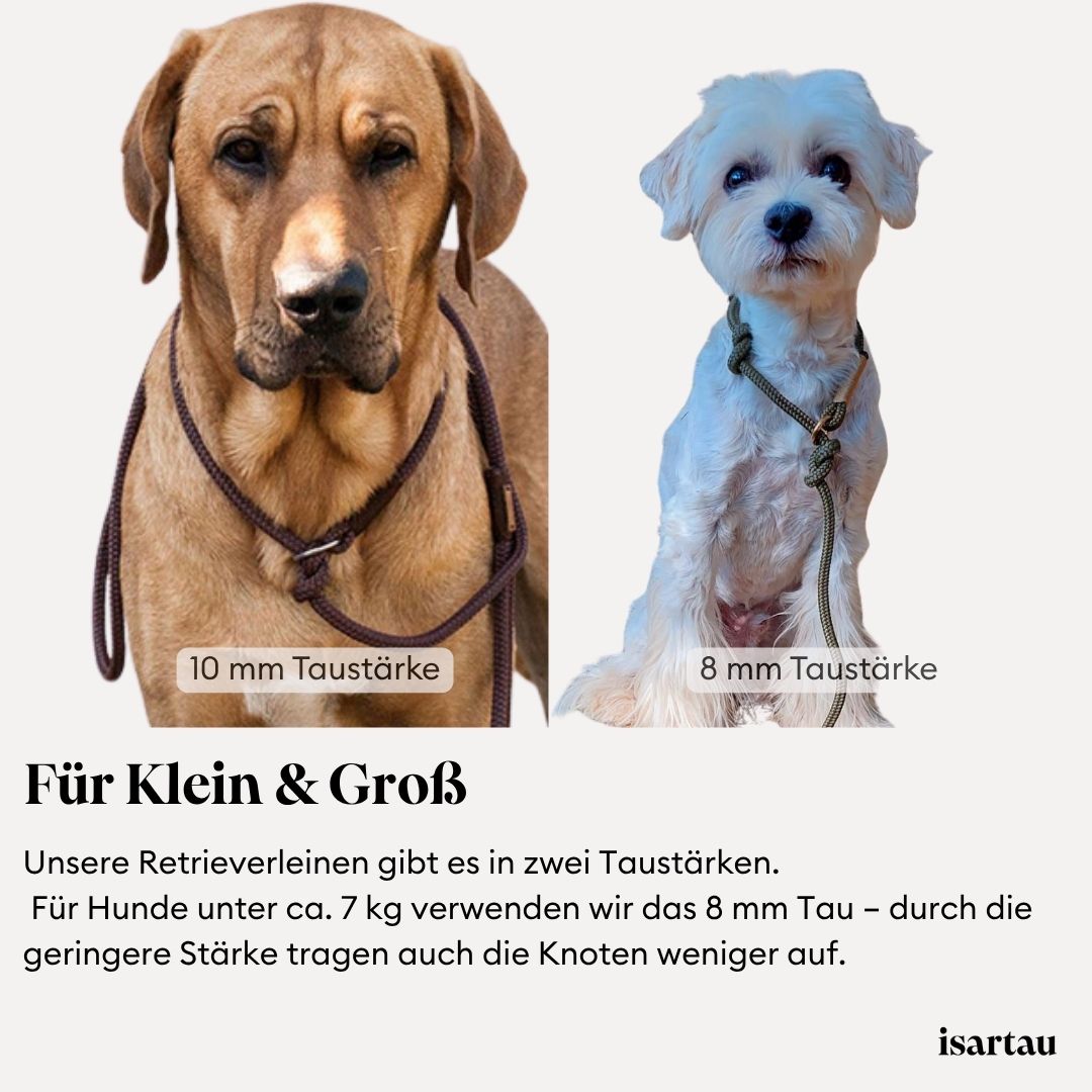 Grafik zeigt kleinen und grossen Hund mit Retrieverleine