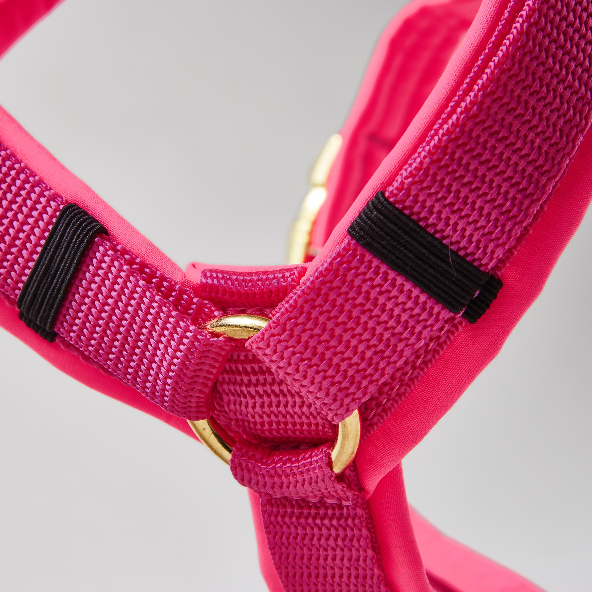 Y-förmiges Hundegeschirr in Neonpink mit Polsterung aus Softshell und goldfarbenen Beschlägen