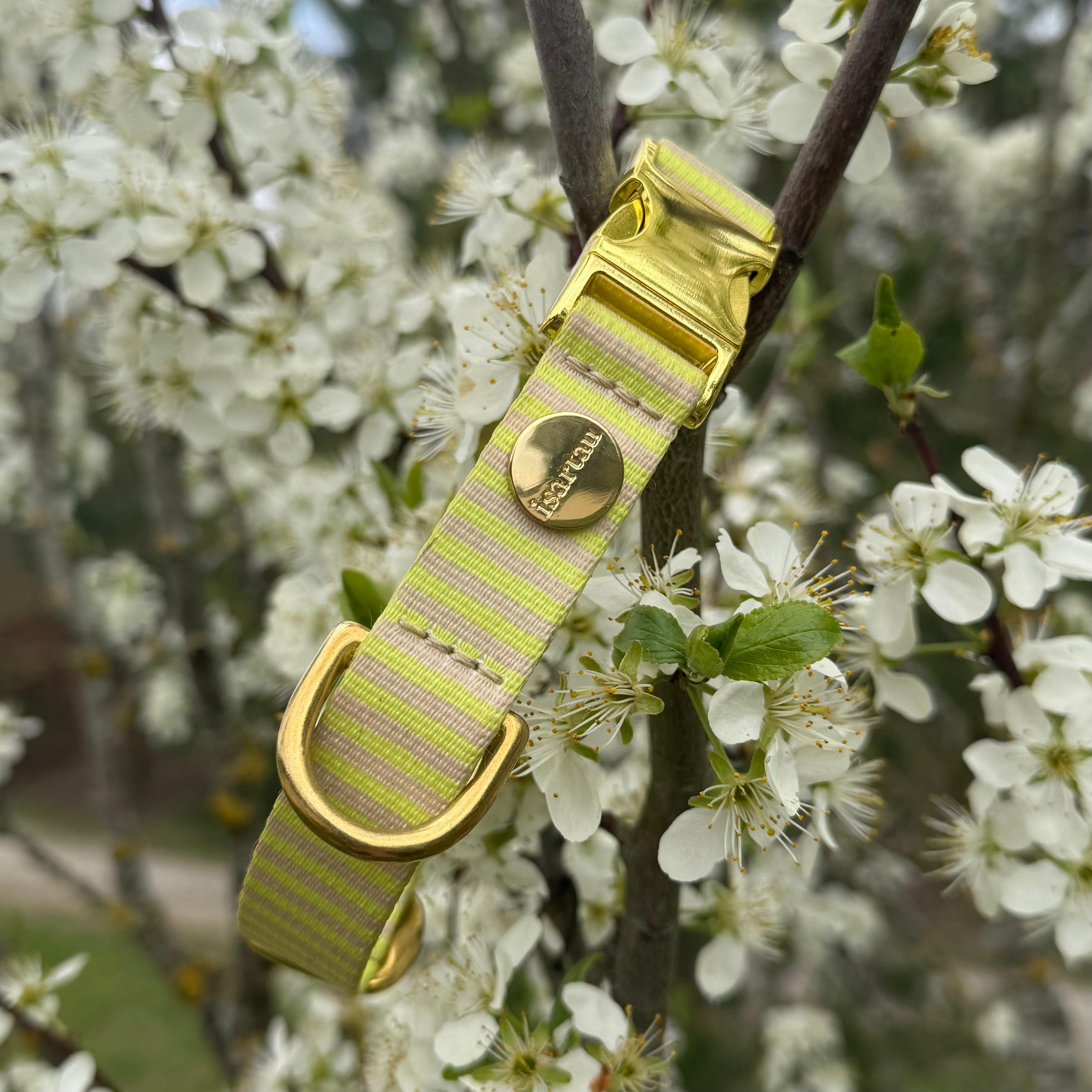 Designerhalsband SUNNY