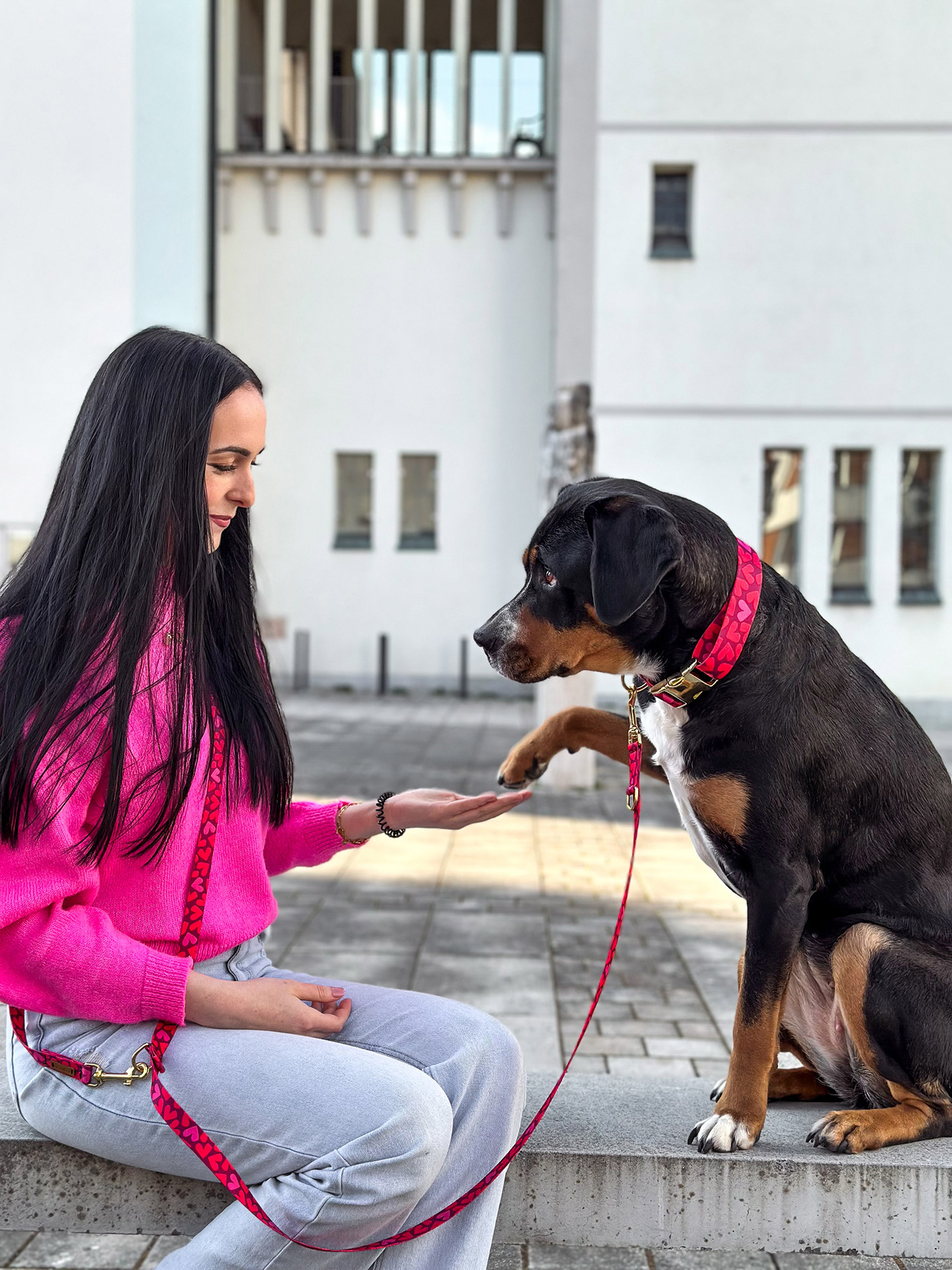 Großer Schweizer Sennenhund in Set herzklopfen, Designerlinie Herzklopfen in strahlenden Rottönen