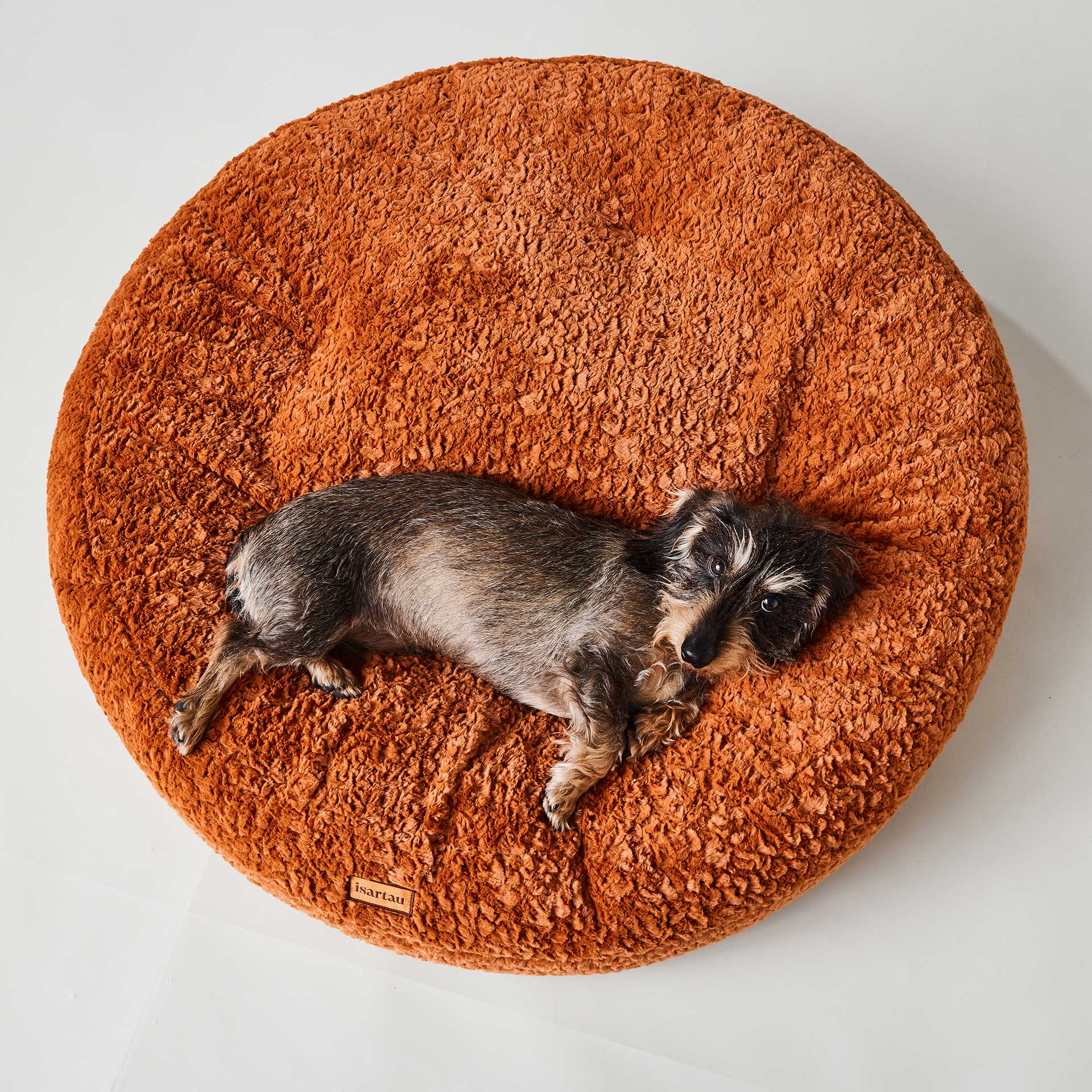 Dackel liegt in Bagelbettchen Zimt, Größe M