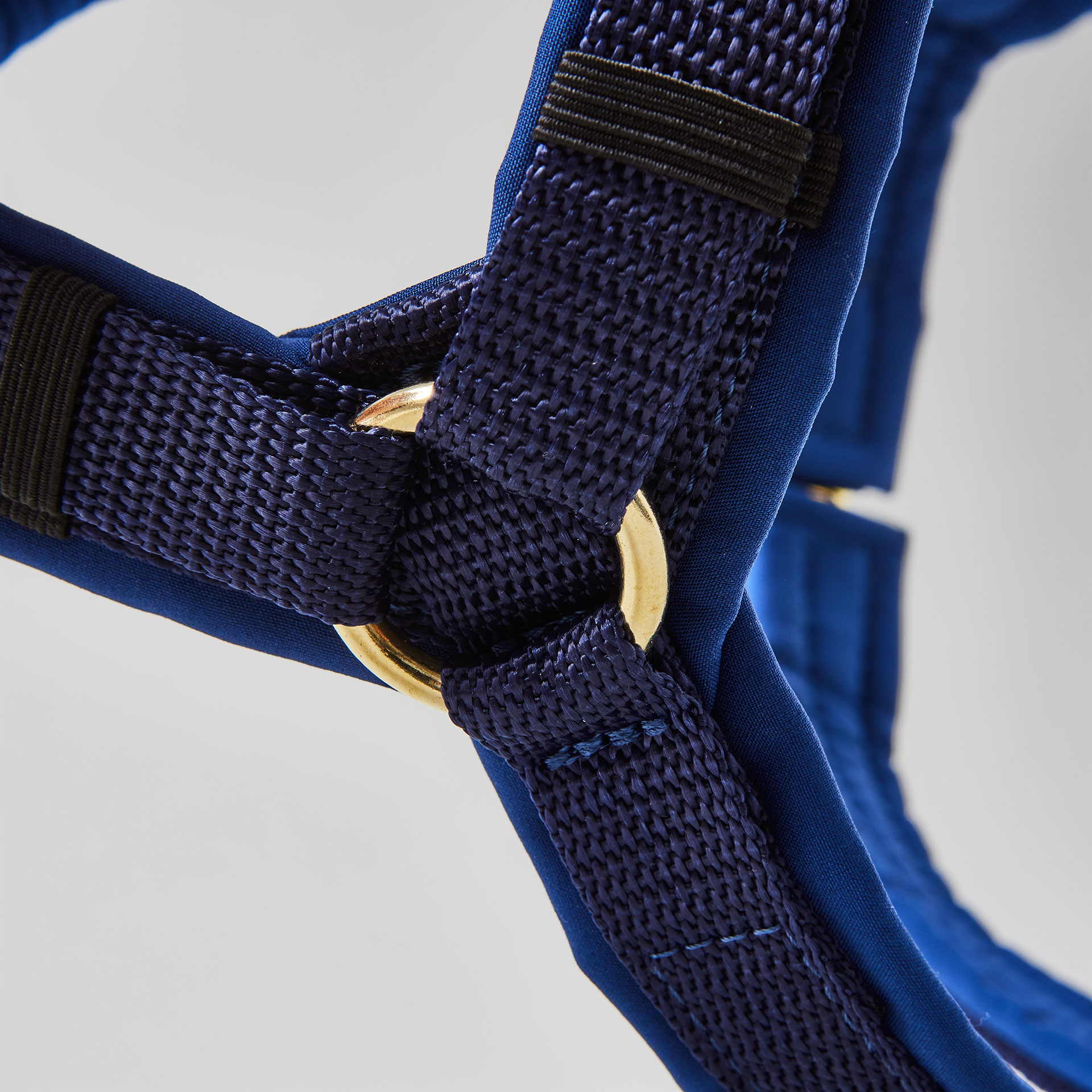 Y-förmiges Hundegeschirr in Dunkelblau mit Polsterung aus Softshell und goldfarbenen Beschlägen.