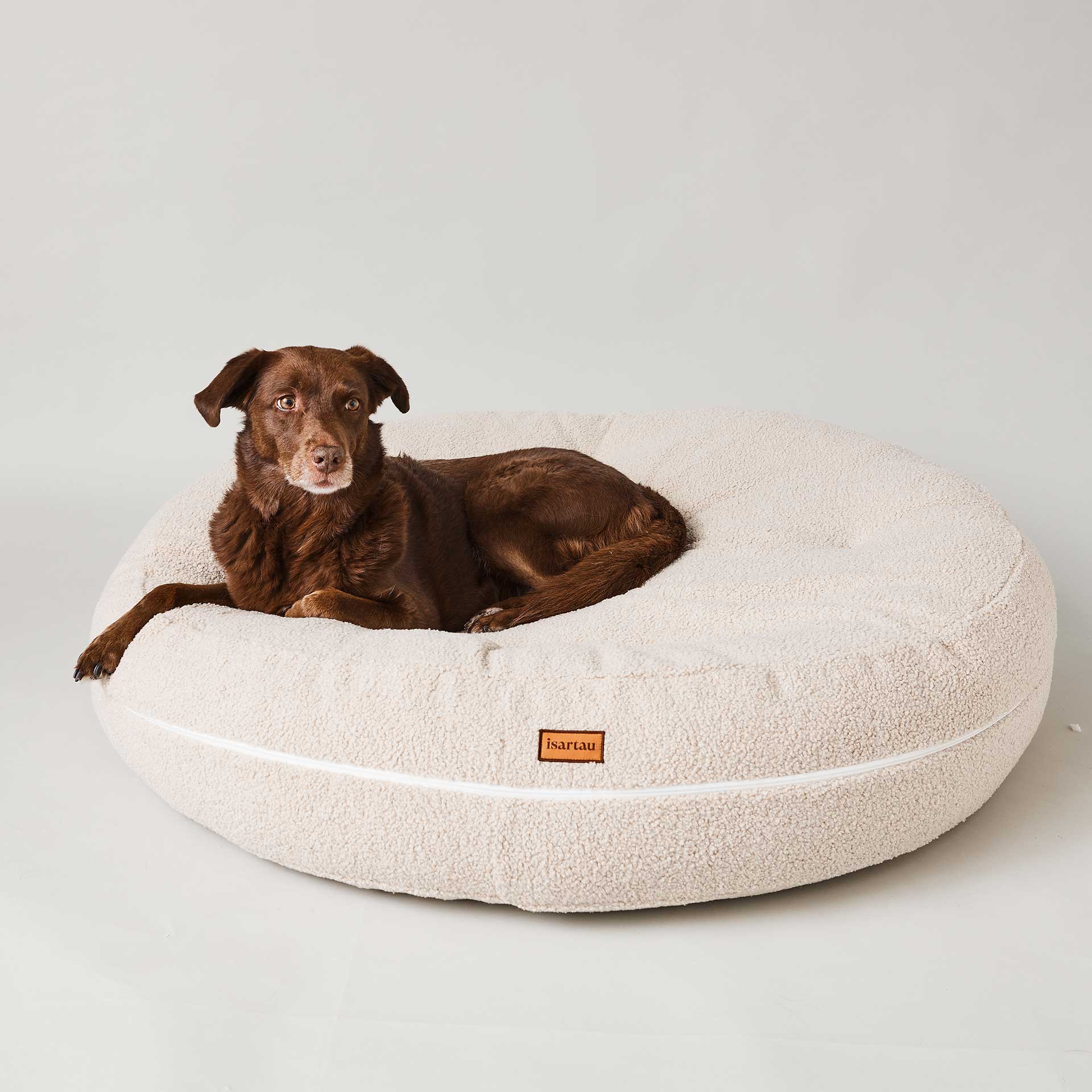 Aussiedor in Hundebett Bagelbettchen, Teddystoff Sand, Größe M