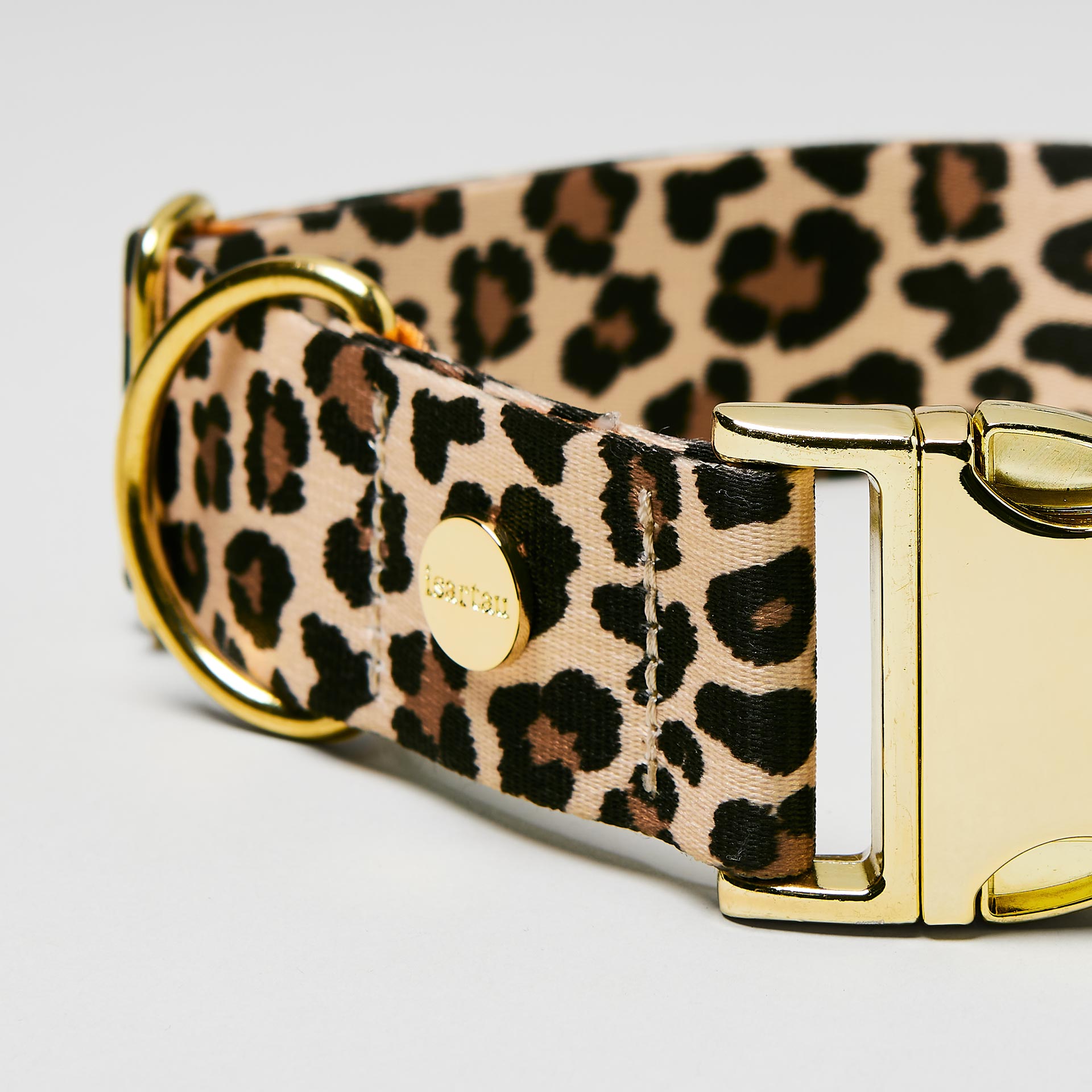 Nahaufnahme verstellbares Hundehalsband Leo goldfarben, Gurtband im Leoprint Design