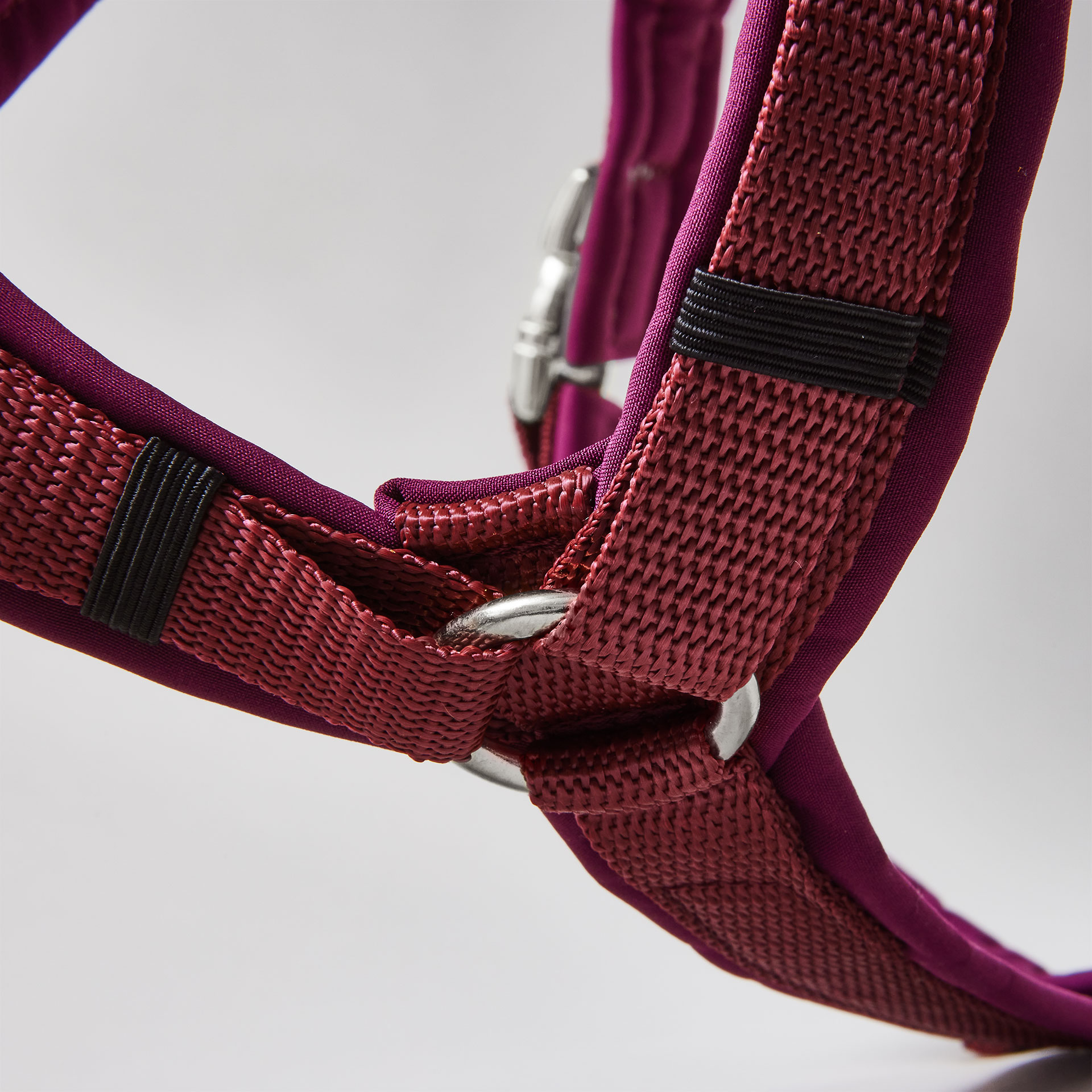 Gepolstertes Hundegeschirr in Y-Form in Burgunder mit silberfarbenen Beschlägen.