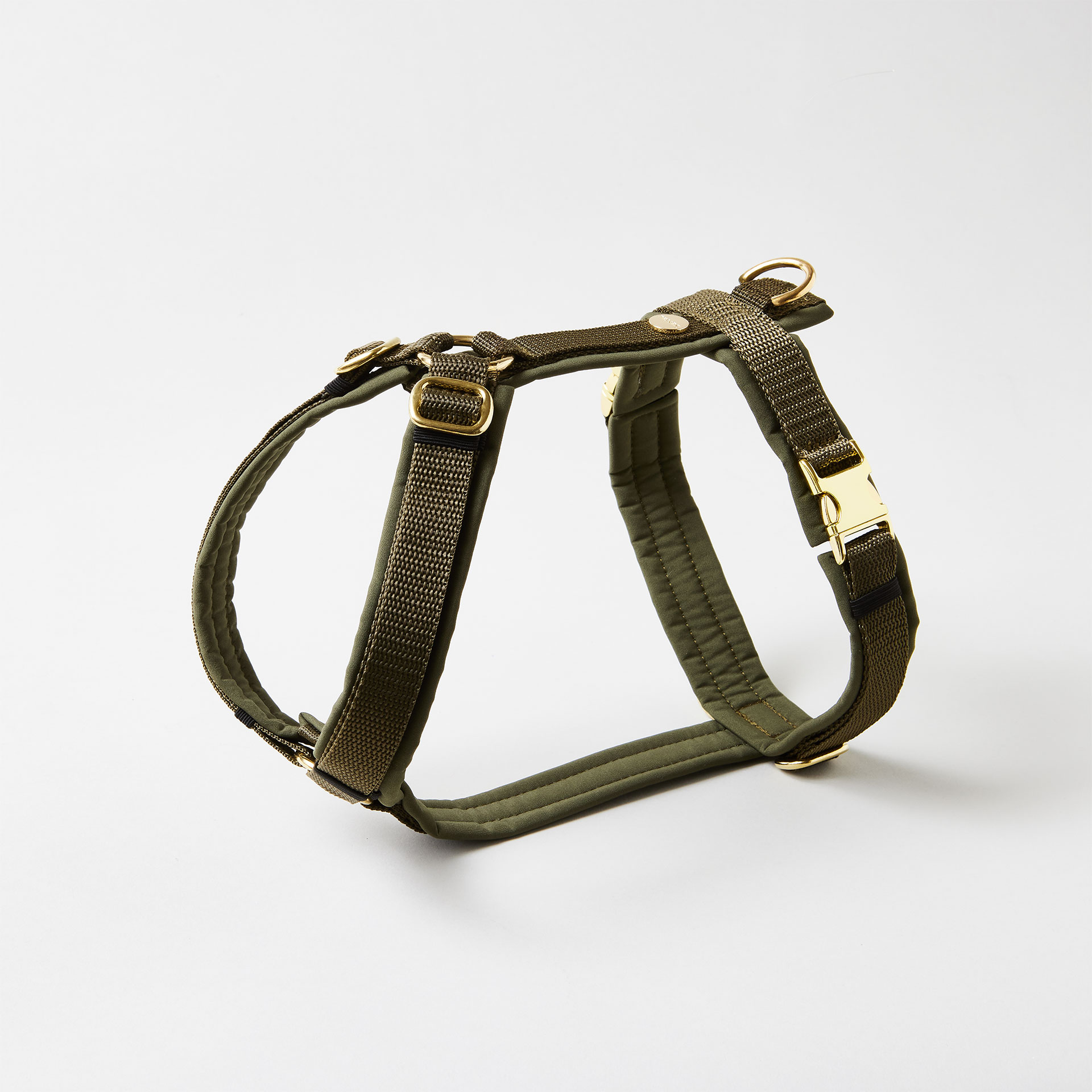 Verstellbares Hundegeschirr in Oliv mit vollunterlegter Polsterung und goldfarbenen Beschlägen