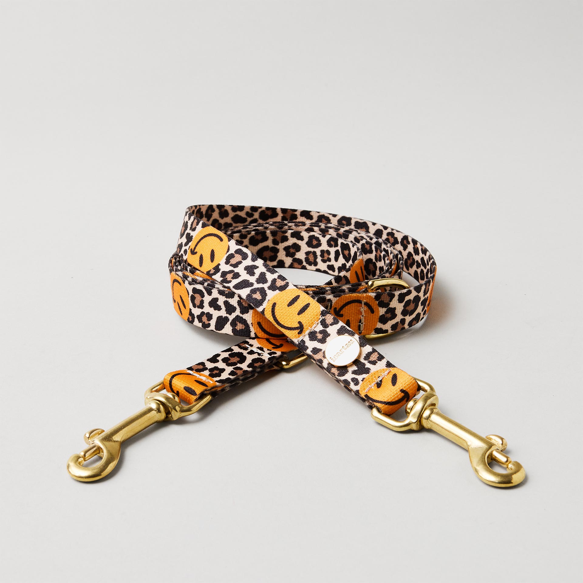 Verstellbare Hundeleine Leo Smile Gurtband mit Leo und Smile Muster goldfarbene Messingkarabiner Breite 20 mm