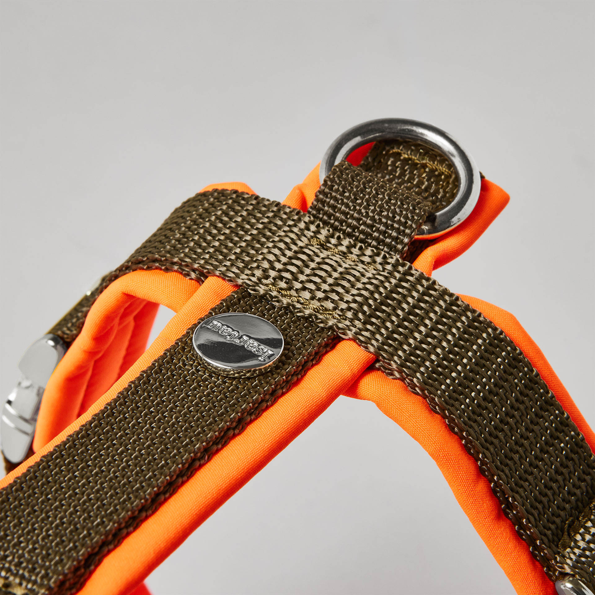Rückenstück des zweifarbigen Hundegeschirrs Softie Neonorange Oliv mit neonoranger Polsterung, olivfarbenem Gurtband, gepolstertem O-Ring und Logo-Niete, silberfarben