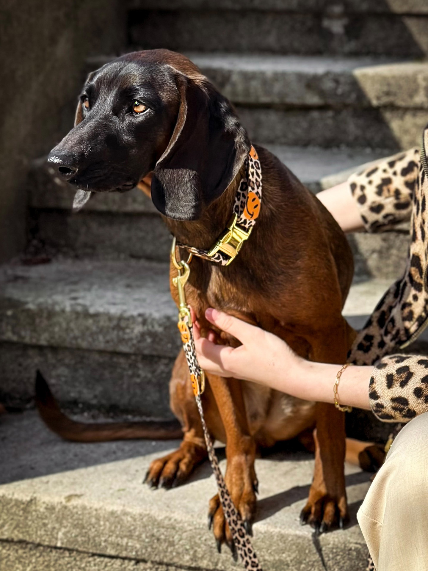 Frauchen und BGS Cleo in Design Leo Smile, sitzen auf Treppe