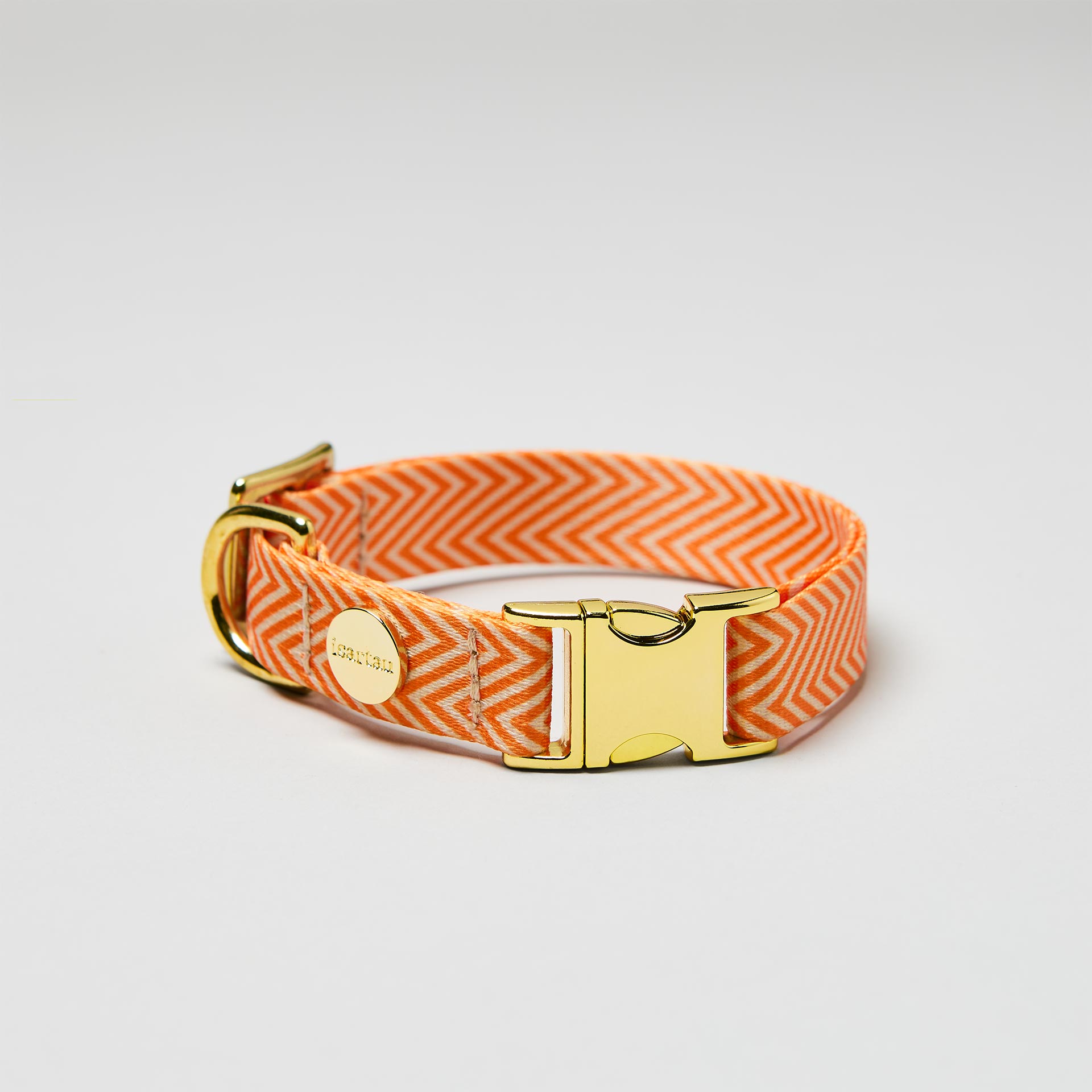 Verstellbares Hundehalsband Tänzer goldfarbene Schließe, Gurtband im Fischgrät Stil