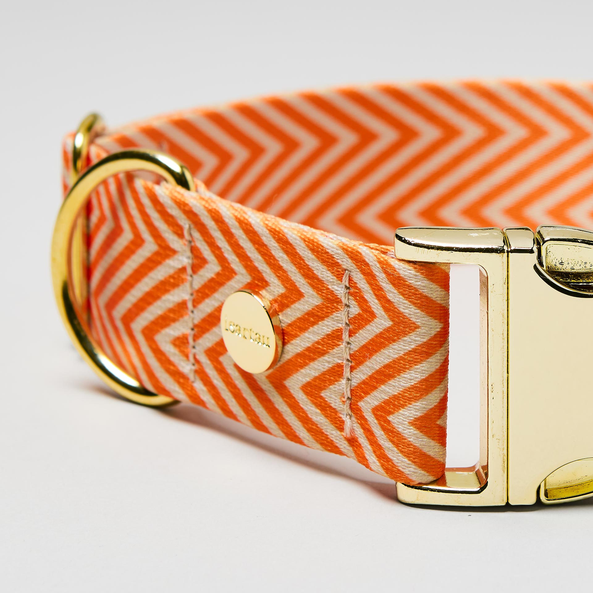 Nahaufnahme verstellbares Hundehalsband Tänzer goldfarben, Gurtband mit Fischgrät Muster