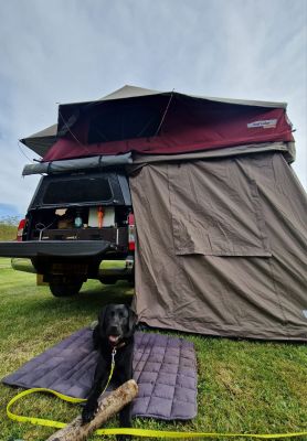 Labrador Skye auf Reisedecke Pocket, Grau 