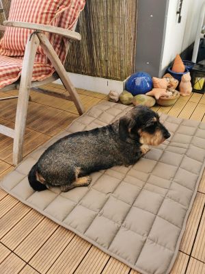 Dackel Reisedecke Pocket beige