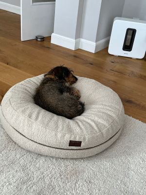 Dackel Wilma Bagel Gr. S Teddy Sand