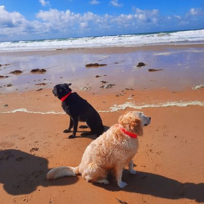  Lissy und Bella Halsband Softie NEONPINK  