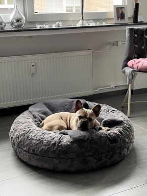 Französische Bulldogge Leo in Bagelbettchen Größe M, Grau