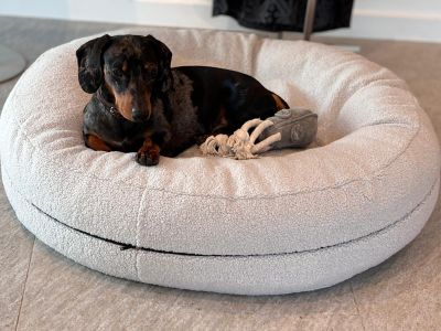  Dackel Xaver Bagelbettchen Teddy Hellgrau  