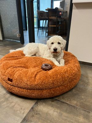 Pudel Manni Bagelbettchen L Zimt 