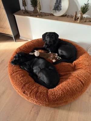  Labrador Ella und Elmo in Bagelbettchen Zimt Groesse L  