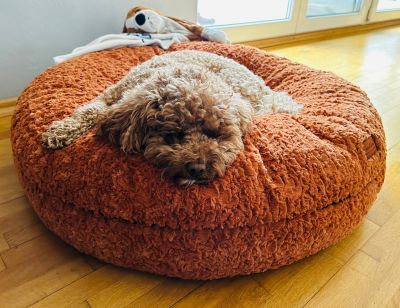 Pudel Kimba in Bagelbettchen Zimt, Größe S