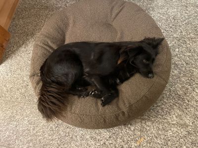 Fafi im Bagelbettchen Teddy Braun Größe M