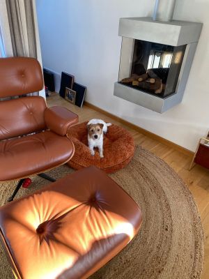 Parson Russell OSMAN Bagelbettchen S Zimt 