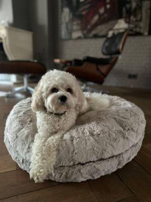 Bobbie in Bagelbettchen Beige Größe S