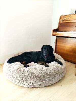 Flat Coatet Kiera Bagelbettchen L Beige 