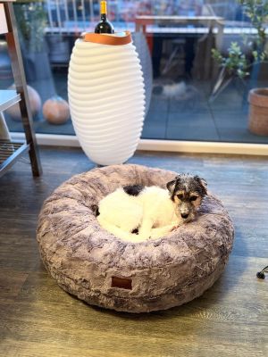 Charlie in Bagel Grau