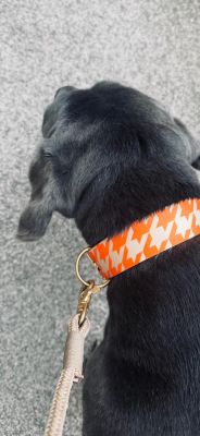 Cane Corso Ruby in Designerhalsband Wandler, Größe XL, Tauleine Wood Owl Sand
